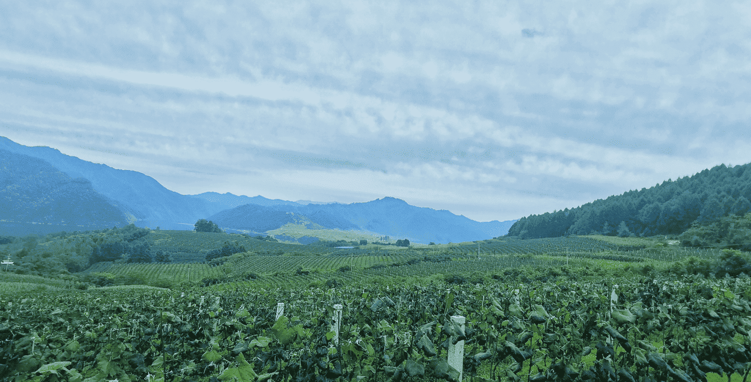 微信截图_20230214062441.png 微信截图_20230214062441.png